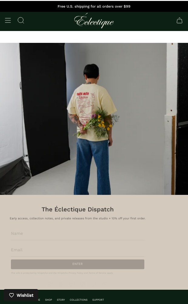 Mobile look book still above the Eclectique Dispatch sign-up