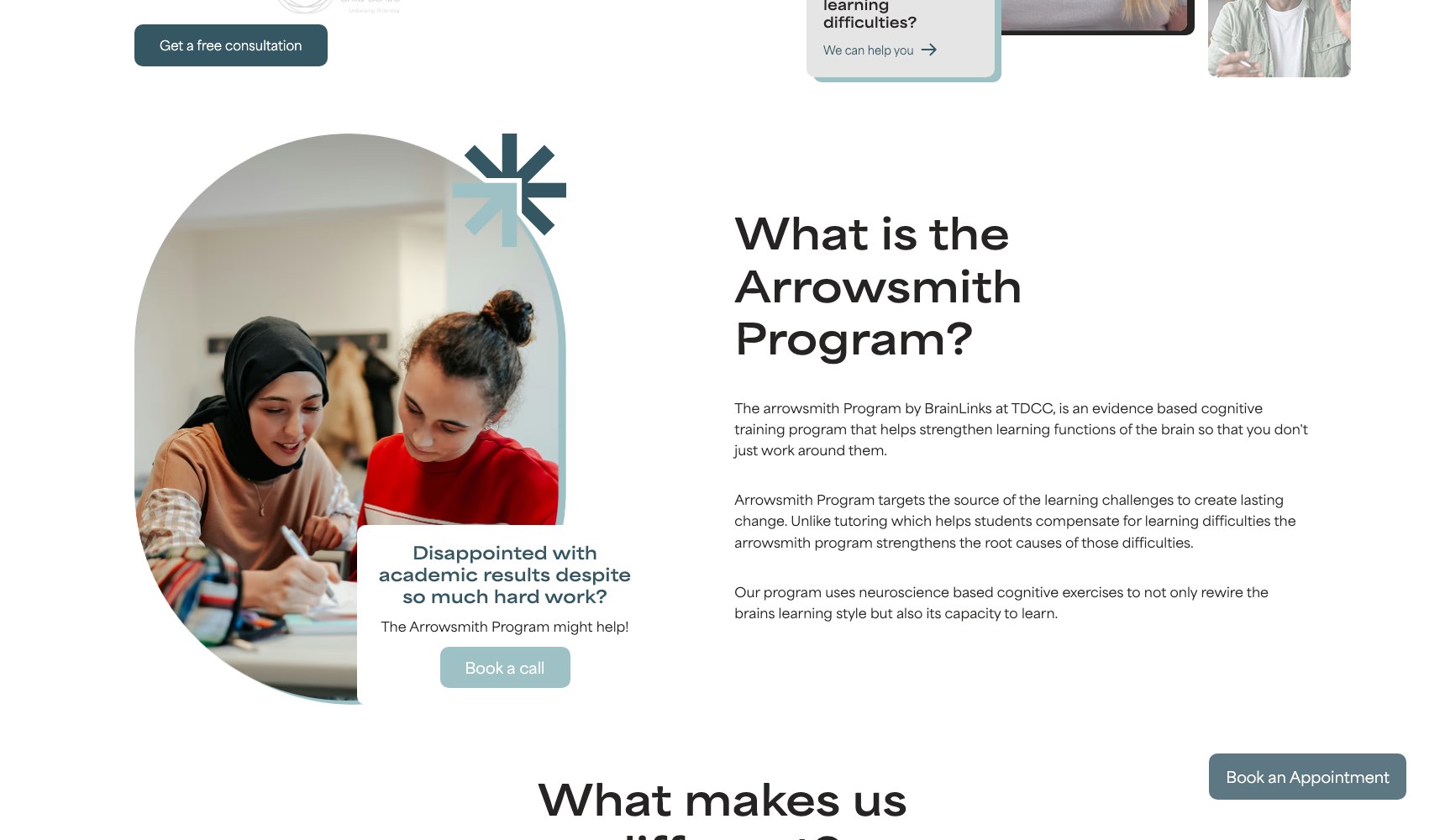 What is the Arrowsmith Program explainer