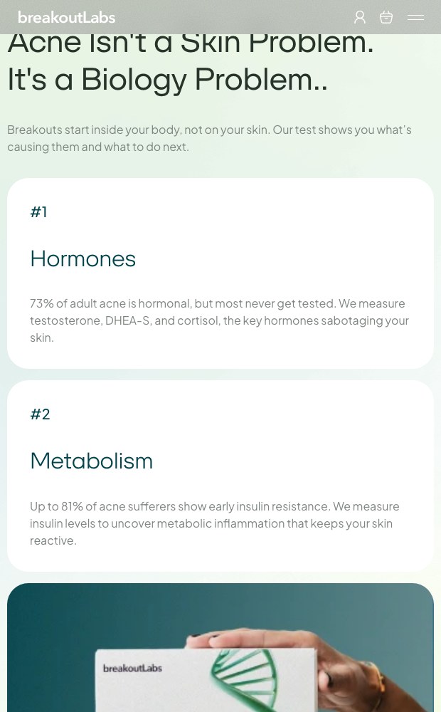 Mobile view of the biology explainer with the hormones and metabolism cards