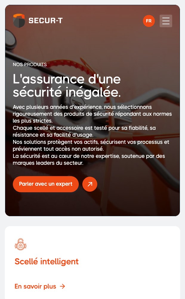 Mobile security promise