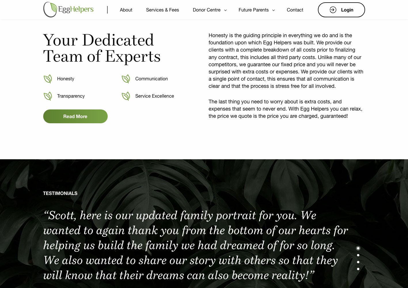 Dedicated team of experts section above a client testimonial