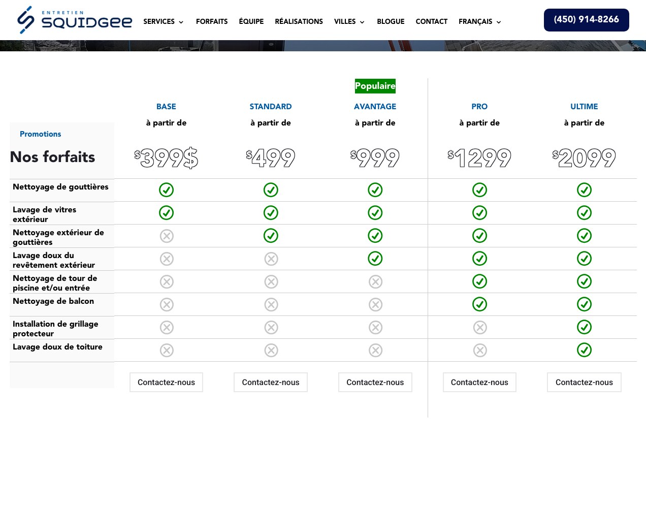The Forfaits page comparing five annual maintenance plans side by side
