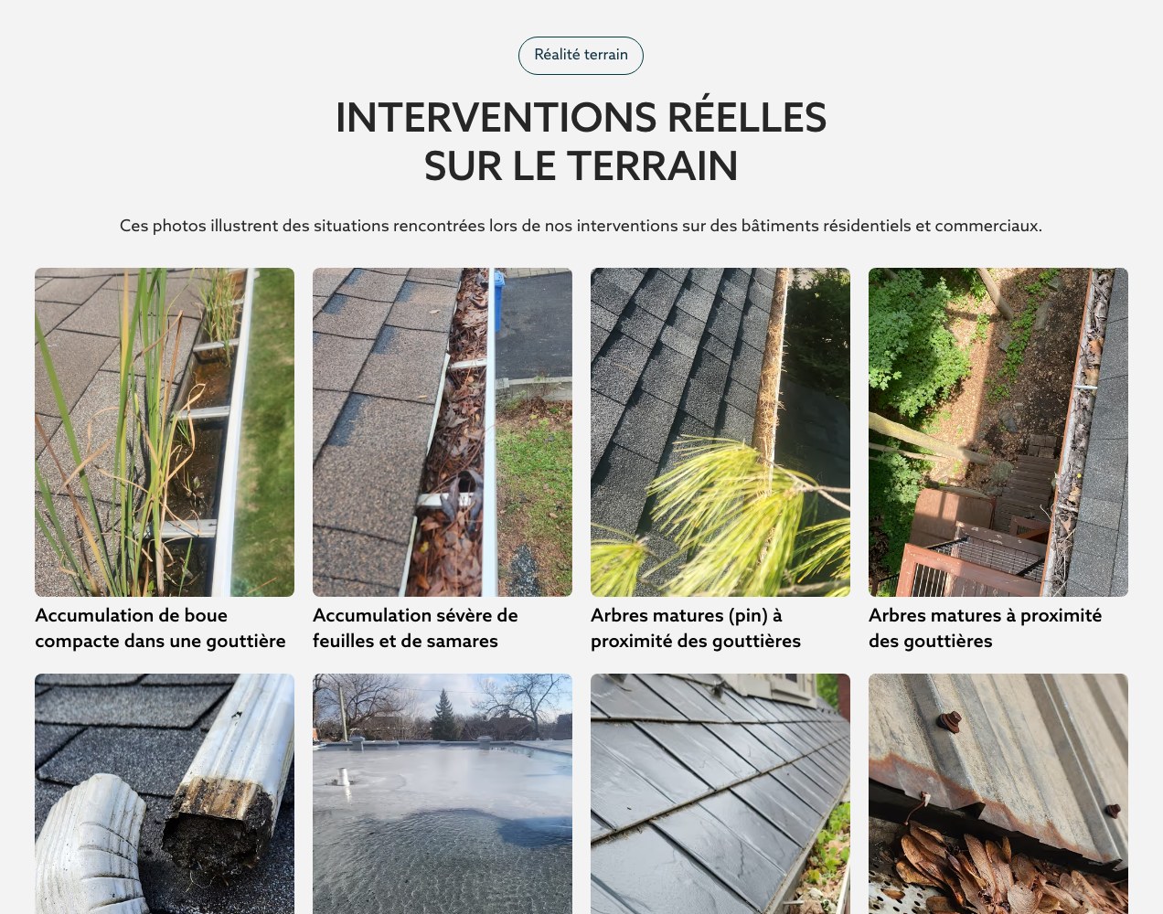 Real site conditions photographed across residential and commercial buildings