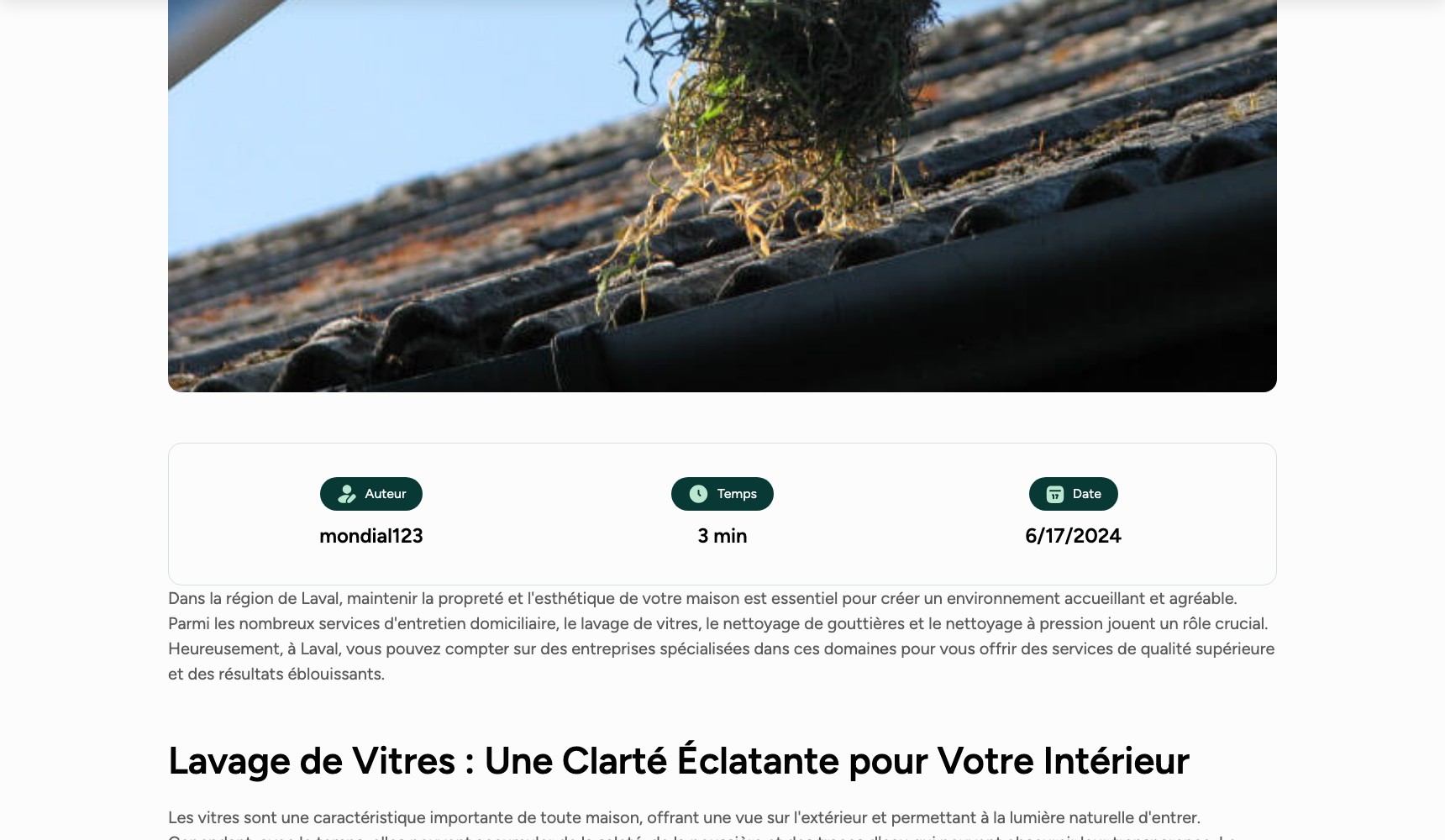 123Entretien blog article on pressure washing, opening on a photo of a clogged gutter