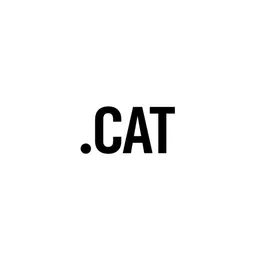 Agencia SEO Barcelona | Posicionamiento Web .Cat Logo