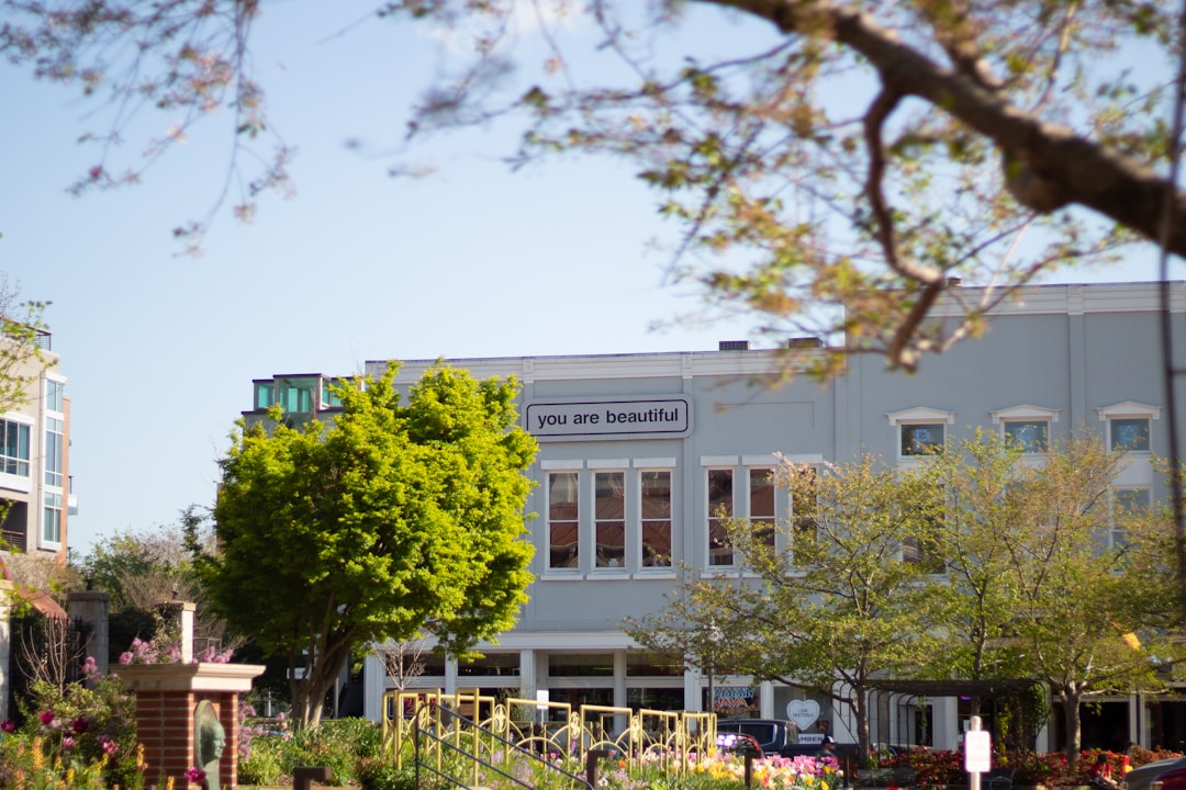 fayetteville city photo — Web Tonic