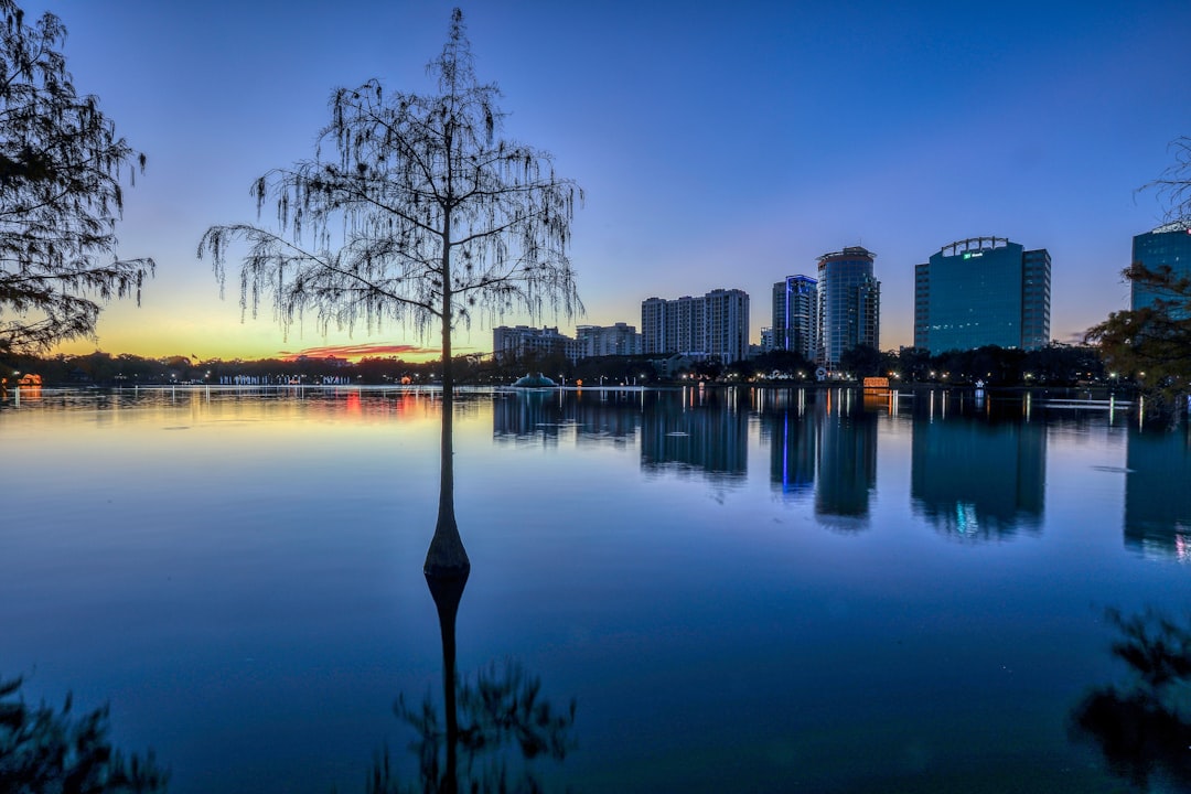 Orlando city photo — Web Tonic