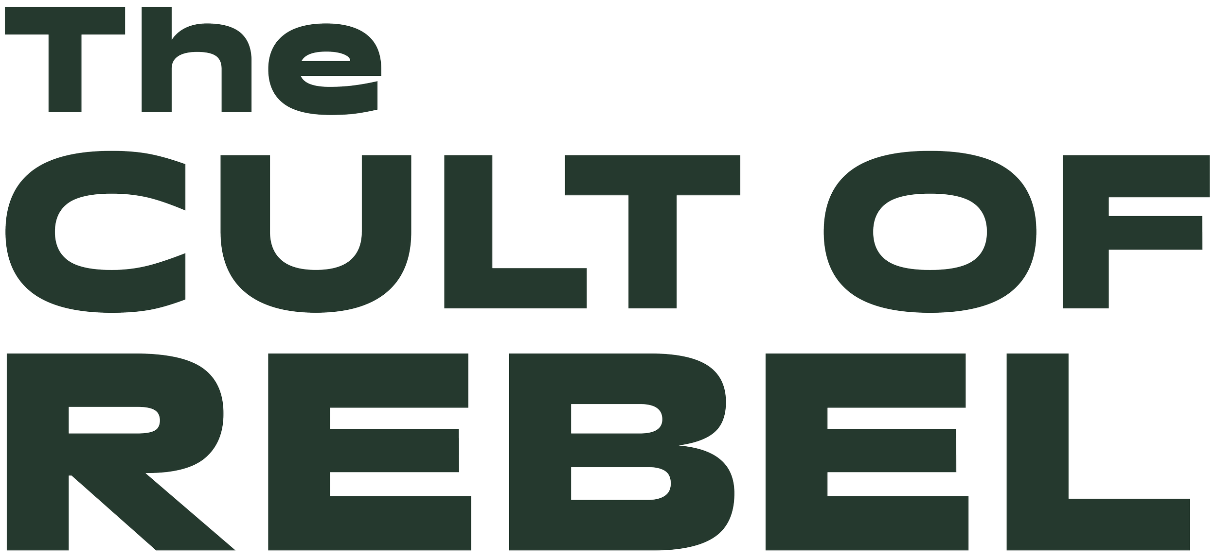 Rebel Marketing Logo