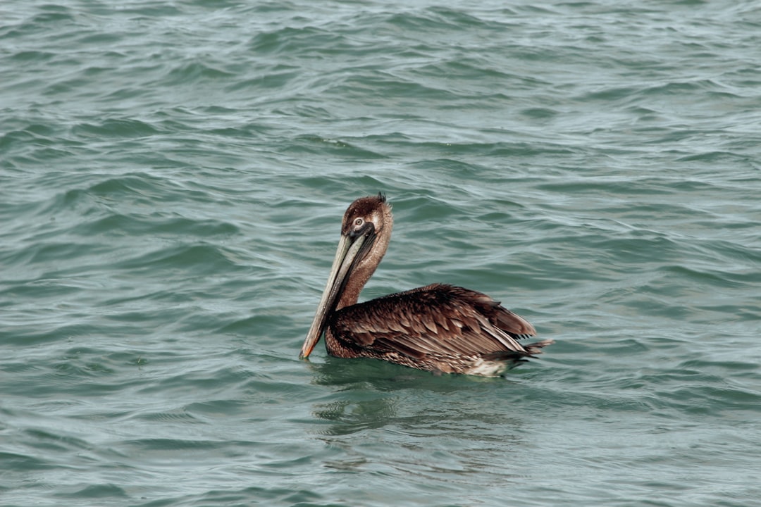 fort-lauderdale city photo — Web Tonic