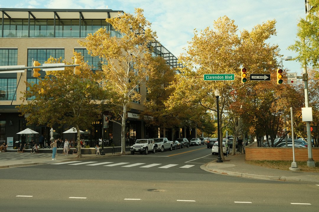 Arlington city photo — Web Tonic