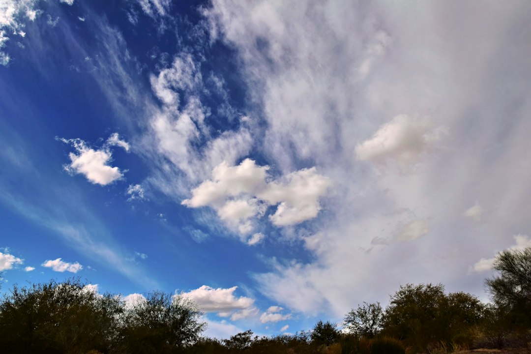 chandler city photo — Web Tonic