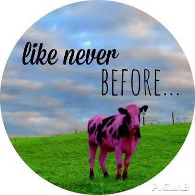 Purple Cow Agency Logo