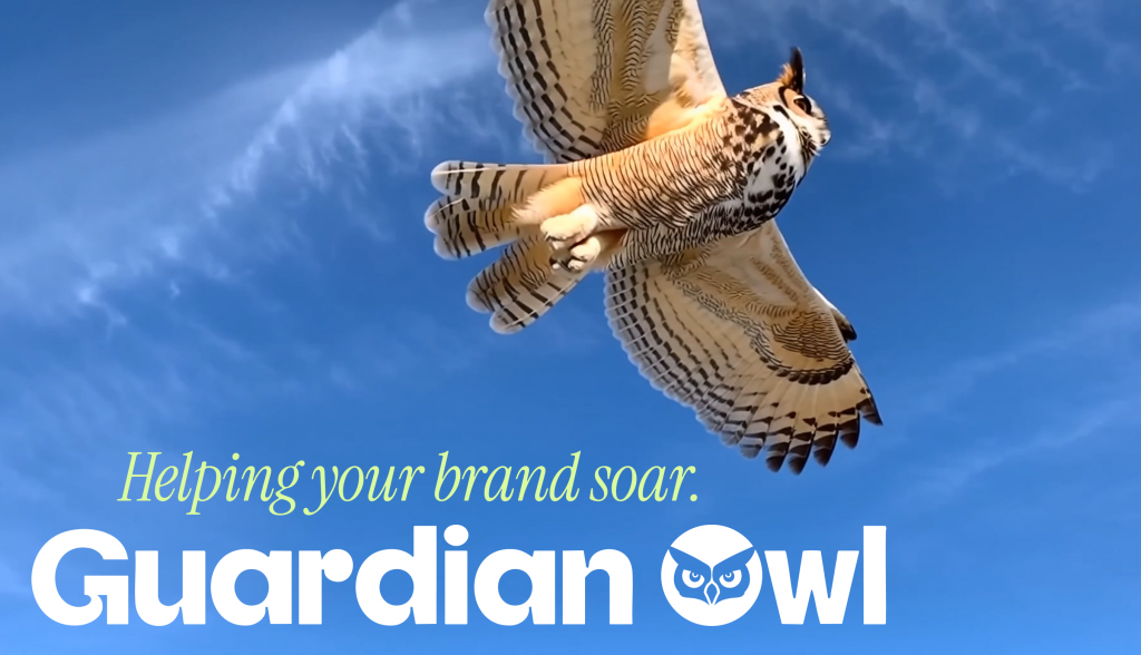 Guardian Owl Digital Logo