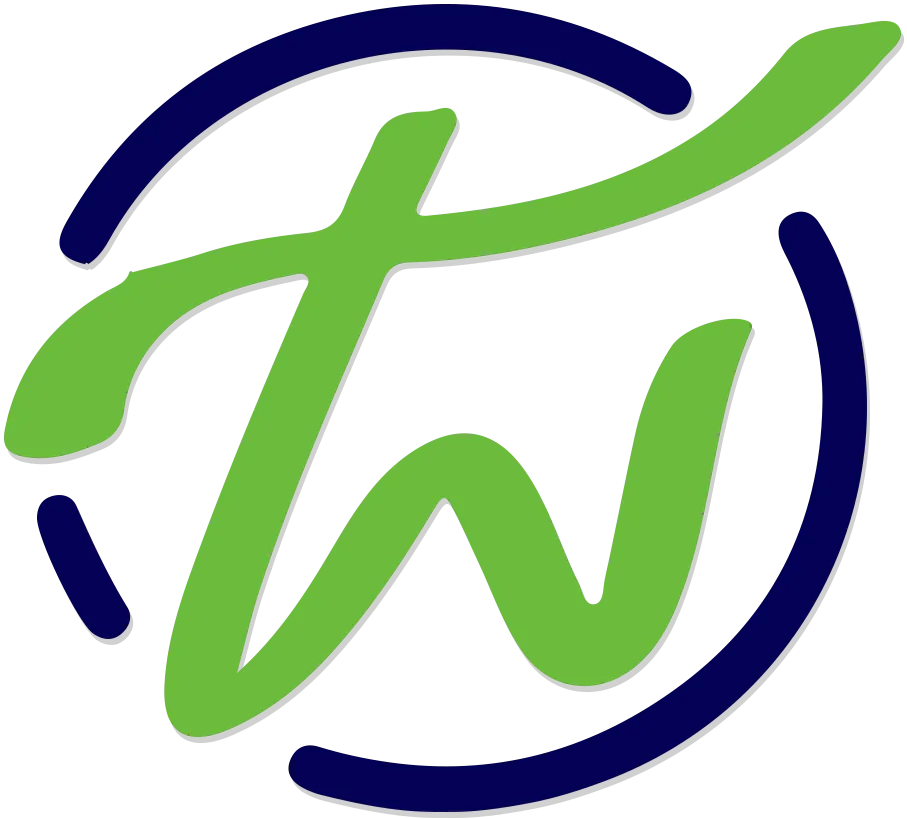 Techsys Web Logo