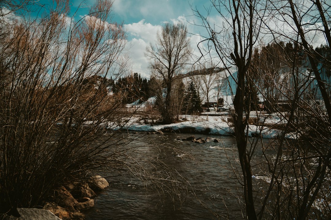 colorado-springs city photo — Web Tonic
