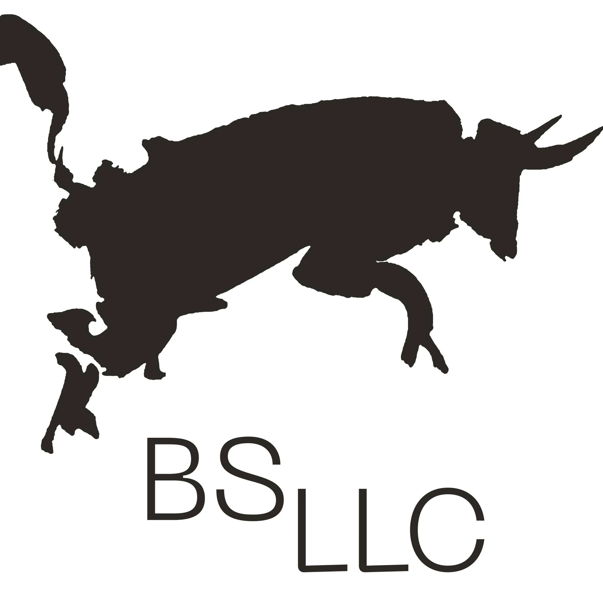 BS LLC Logo