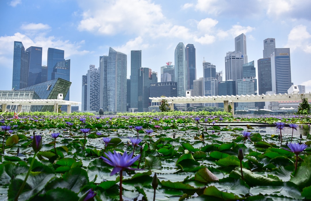 Singapore city photo — Web Tonic