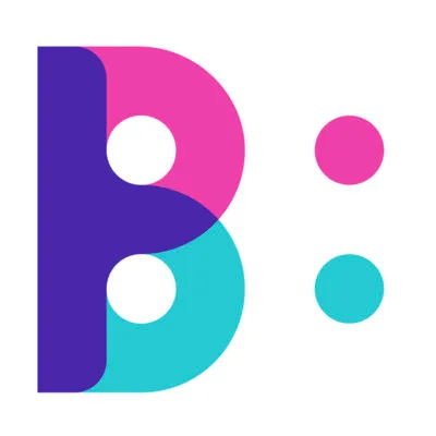 The Big Picture Market Research Logo