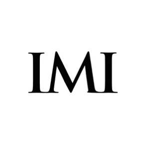 IMI International Logo