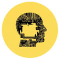 Advanced Intelligent Designs Logo