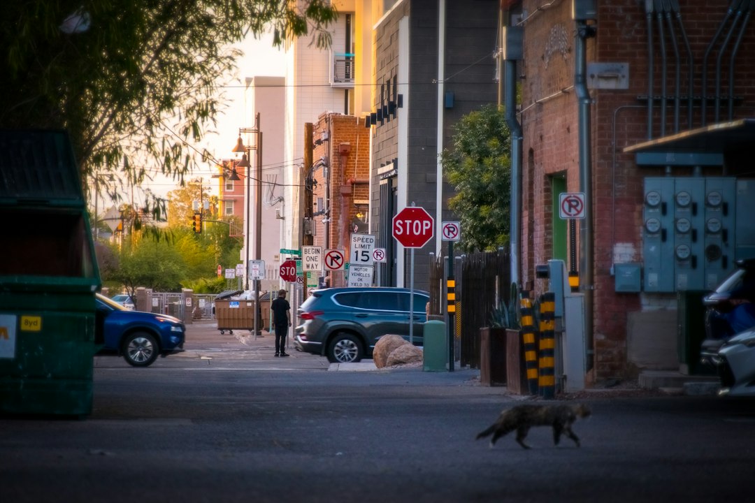 Tucson city photo — Web Tonic