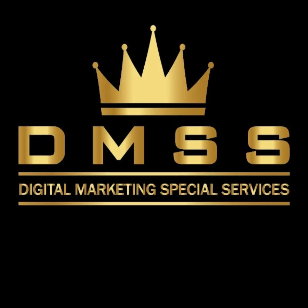 DMSS Logo