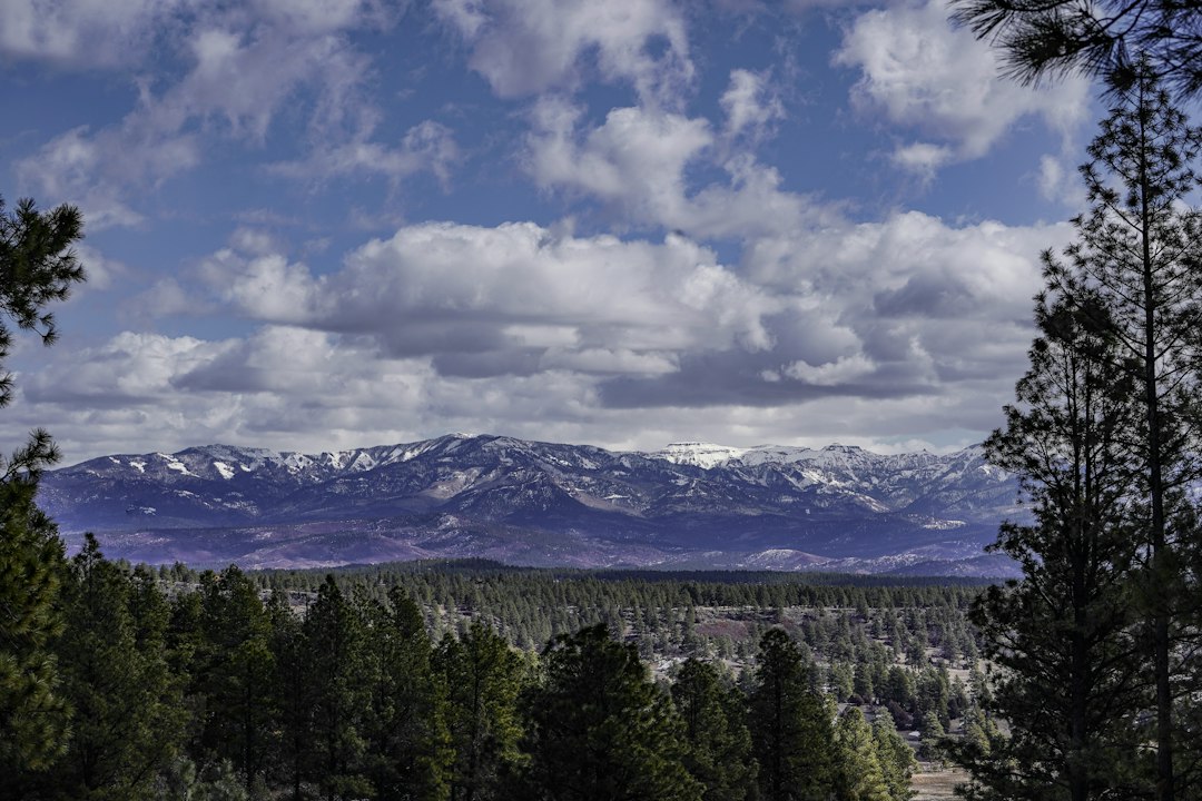 colorado-springs city photo — Web Tonic