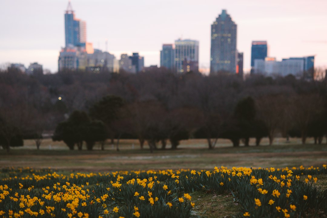 Raleigh city photo — Web Tonic
