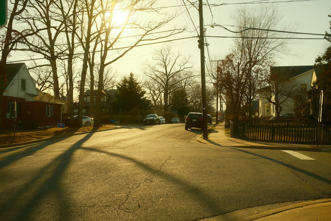 Arlington city photo — Web Tonic