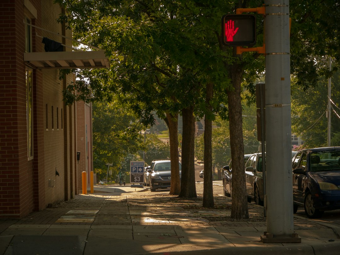 Raleigh Chatgpt Ads city photo — Web Tonic