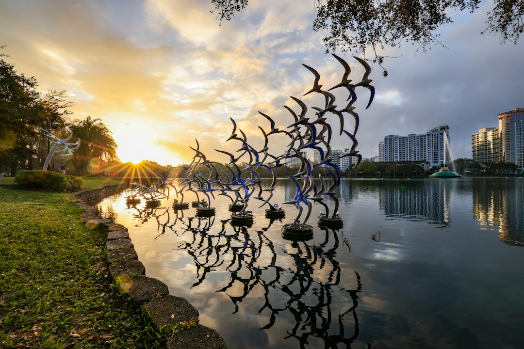 Orlando city photo — Web Tonic