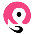 DSC - SEO Company Dubai Logo