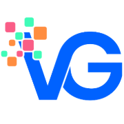 VG Digital Solutions Limited Logo