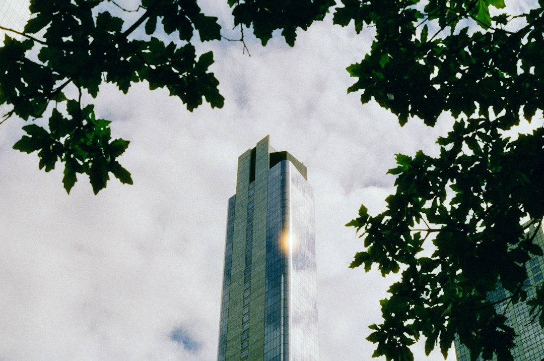 Phoenix city photo — Web Tonic