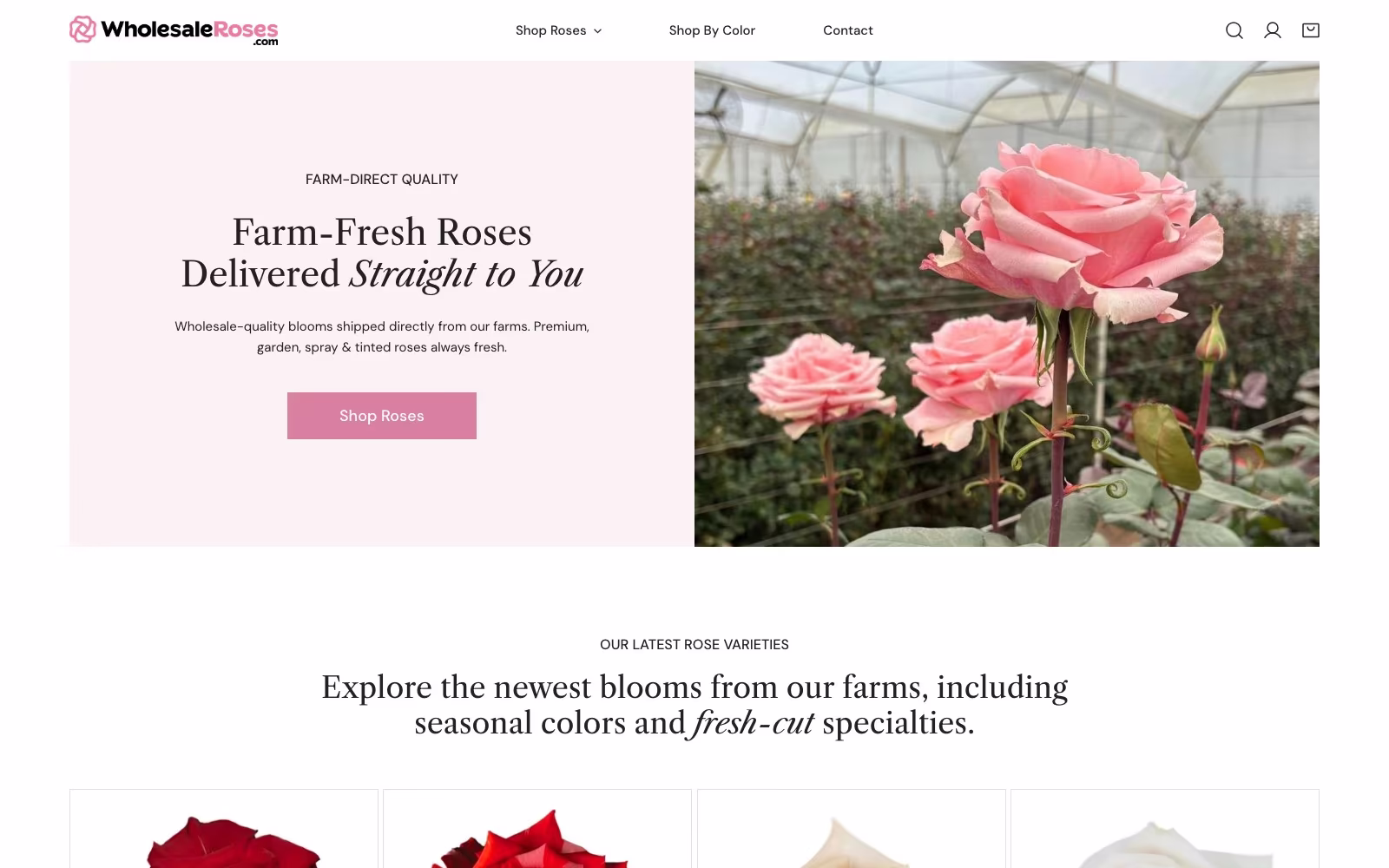 WholesaleRoses.com website homepage