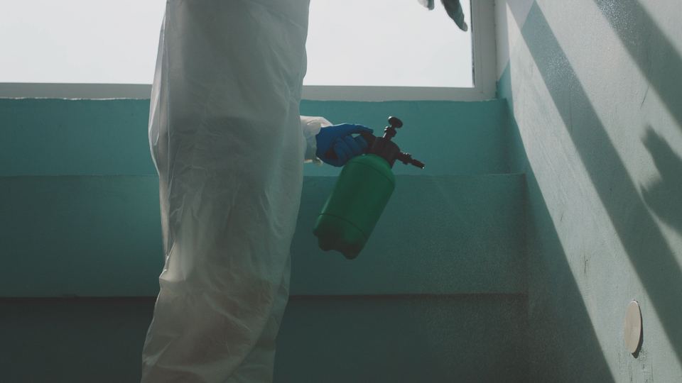 Mold Removal marketing