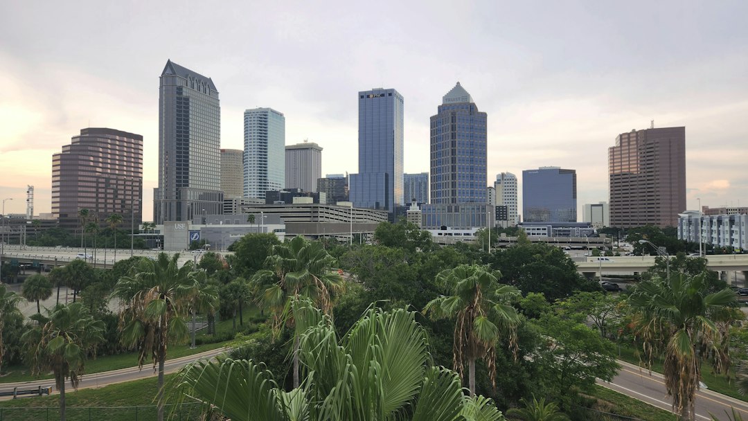 Tampa city photo — Web Tonic