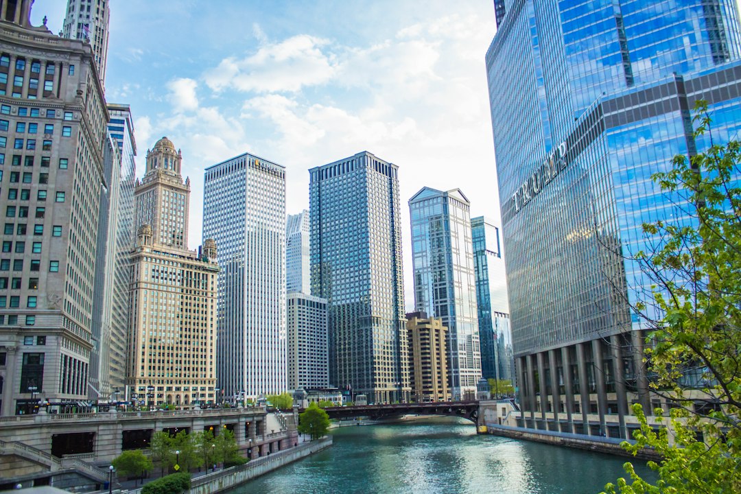 Chicago city photo — Web Tonic