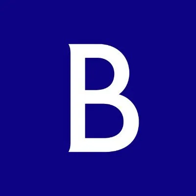 Brunswick Group Logo