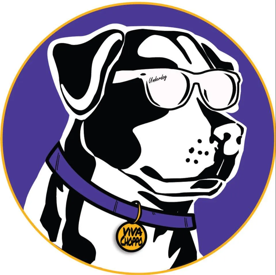 Underdog Solutions Logo