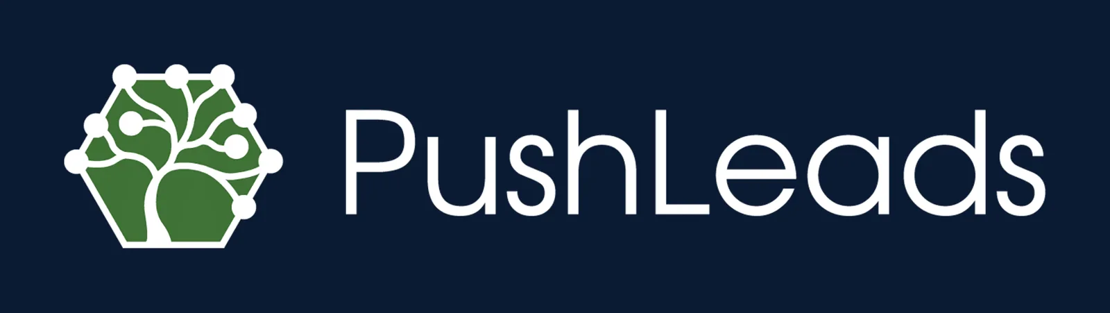 PushLeads Logo