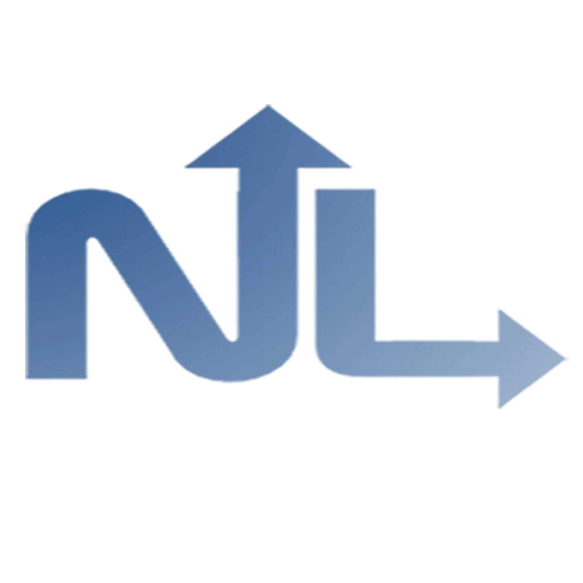 Next Level CFO Logo