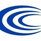 Chase Online Logo