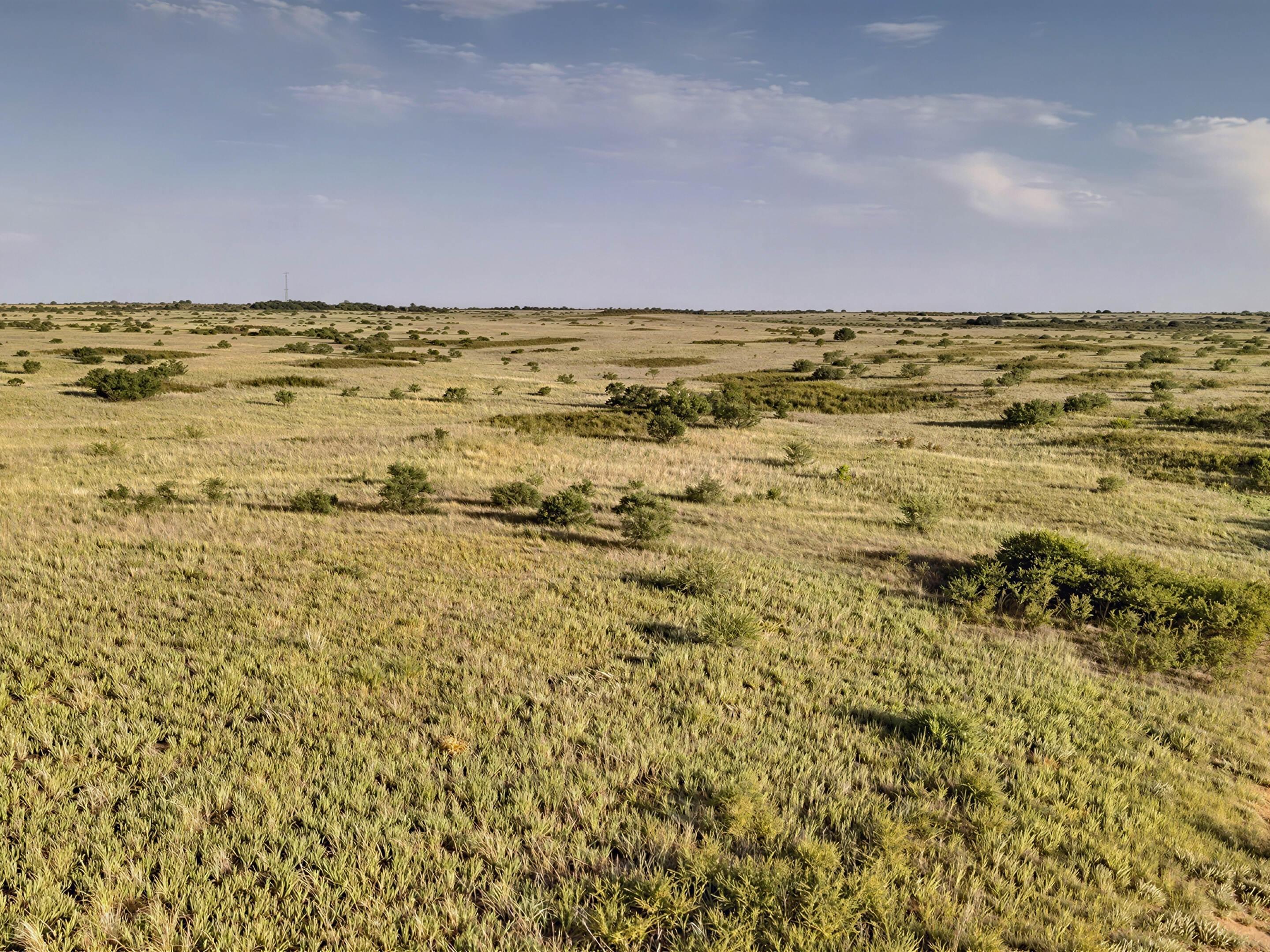 Open field with tall grass in front, tree line in the distance, and a cloudy blue sky above.
