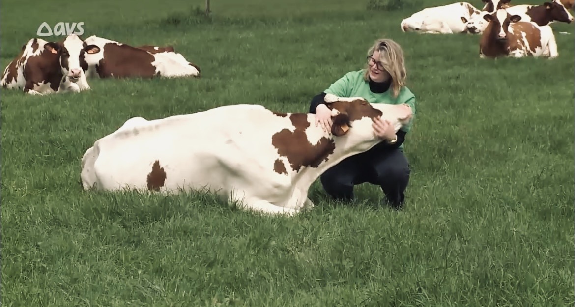Young woman in green jacket affectionately hugging a brown-and-white cow inside a barn.