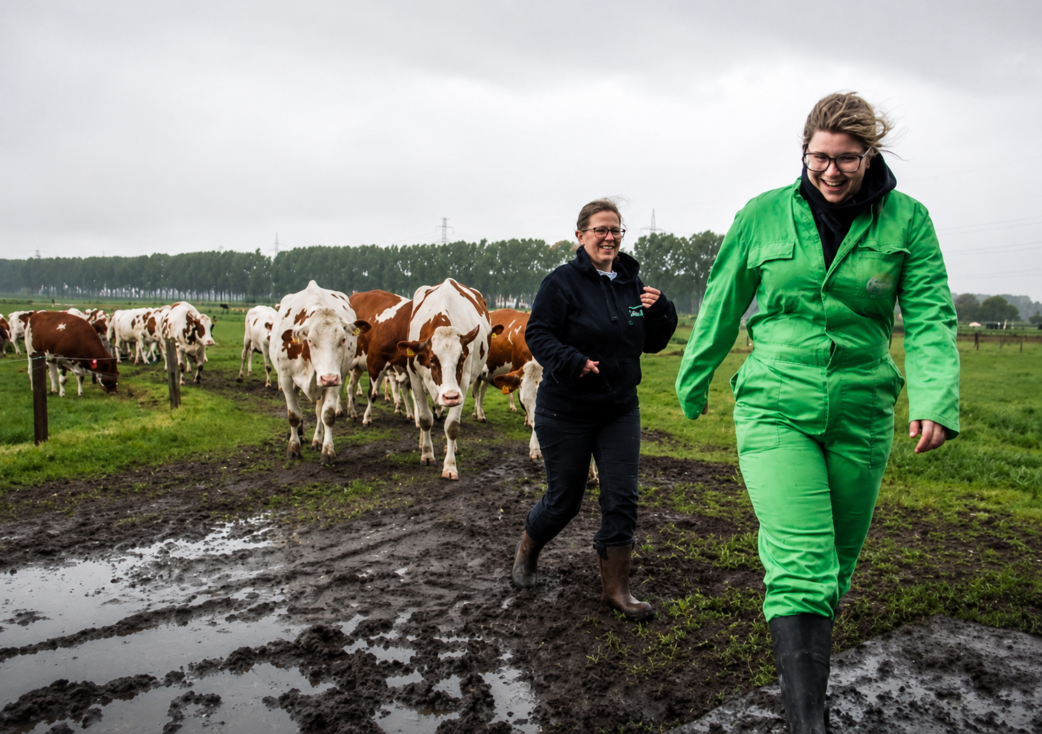 Two women sitting in a barn near feeding cows, one wearing a green coverall and the other a black hoodie.