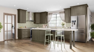 image of residential construction project (for a construction company)
