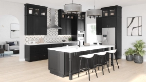 image of residential construction project (for a construction company)