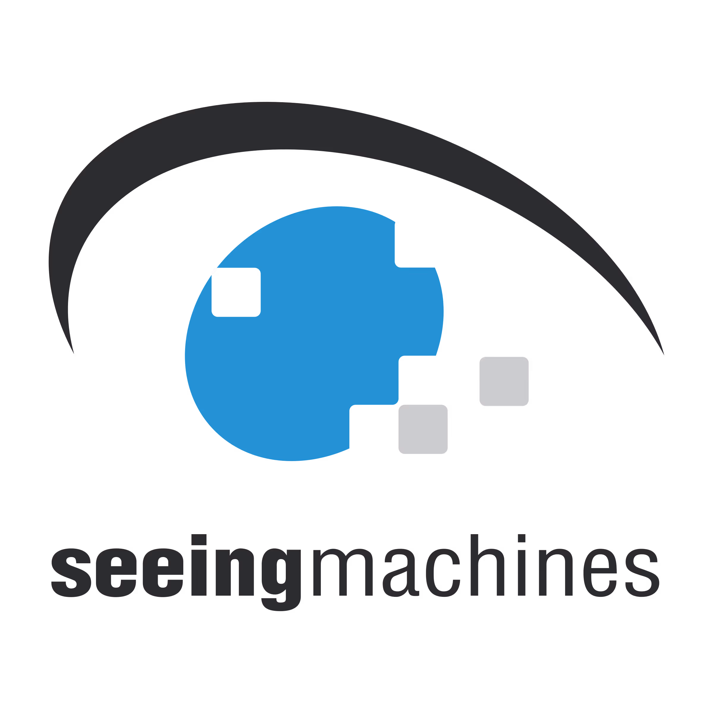 Seeing Machines logo with stylized eye featuring blue and gray pixel elements and black text.