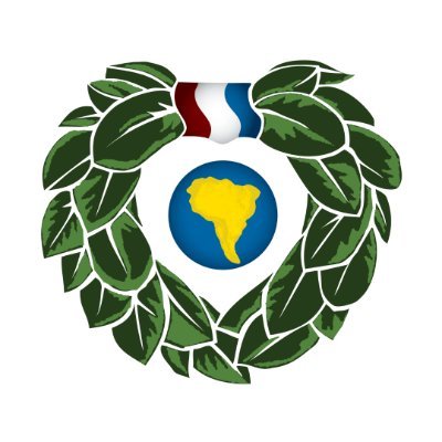 The Paak logo